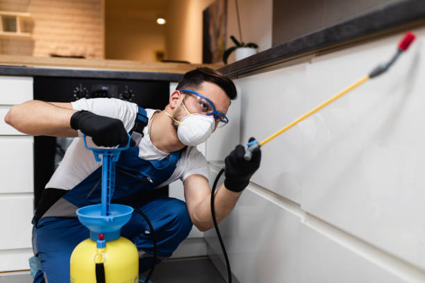 Best Mosquito Control Services  in Swansea, IL