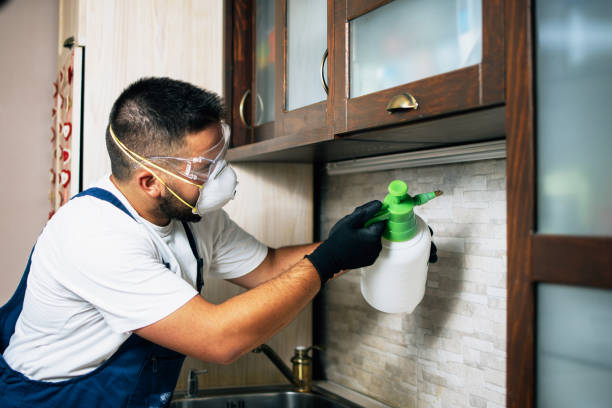 Best Best Pest Control Companies  in Swansea, IL