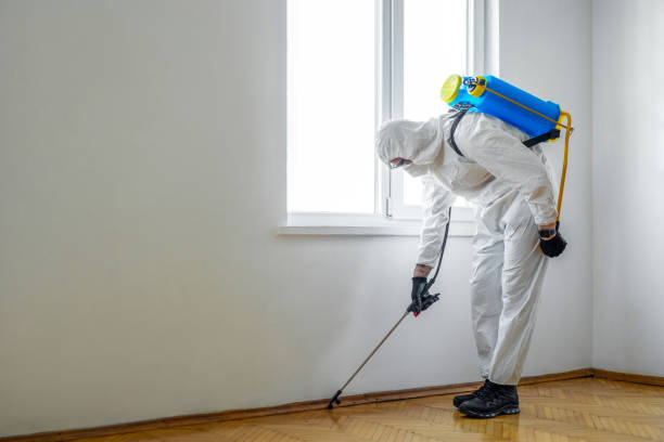 Best Local Pest Control Services  in Swansea, IL