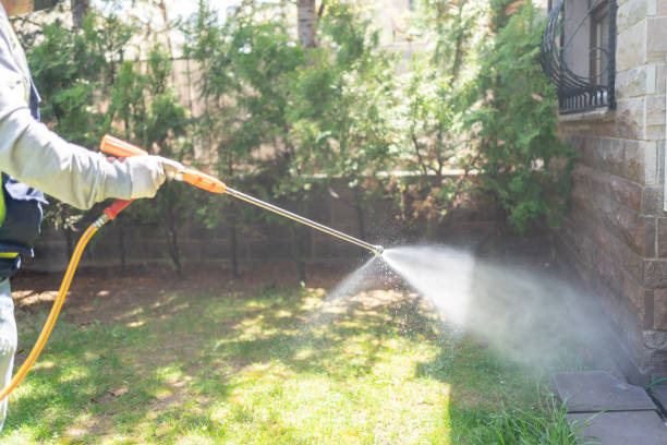 Best Pest Prevention Services  in Swansea, IL