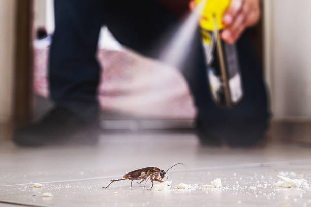 Trusted Swansea, IL Pest Control Experts