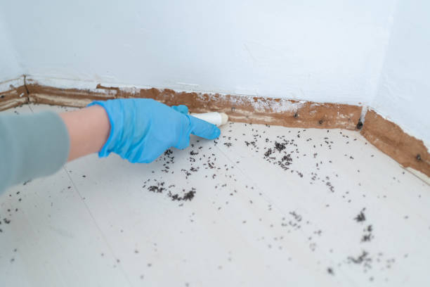 Best Commercial Pest Control Services  in Swansea, IL