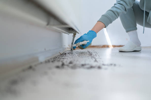 Pest Control Cost in Swansea, IL